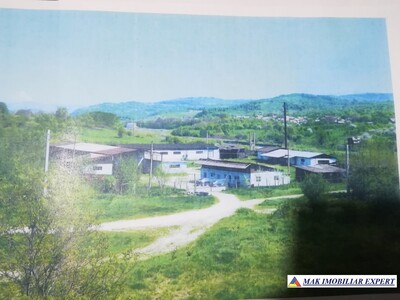 Firmă 5 Hale (1.405 mp) teren 6.240 mp Schitu Golești Argeș - Imagine principală