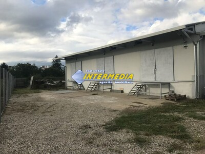 Hală pentru multiple activități de 265 mp, 608 mp teren, Alba Iulia - Imagine principală