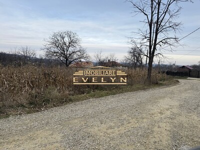 Teren intravilan de vânzare – Mănăstirea Doamnei - Imagine principală