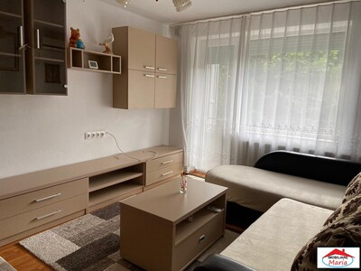Apartament 2 camere Careiului mobilat - Imagine principală