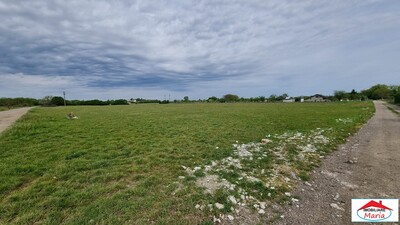 Teren extravilan 5000 mp zona Drum Careiului - Imagine principală