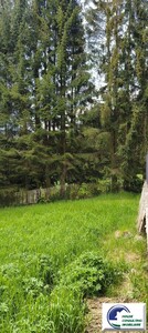 Casa la rosu si teren situate in Busteni - Imagine principală