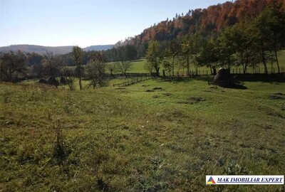 Teren 6.000 mp, intravilan, Albestii de Muscel, Candesti. - Imagine principală