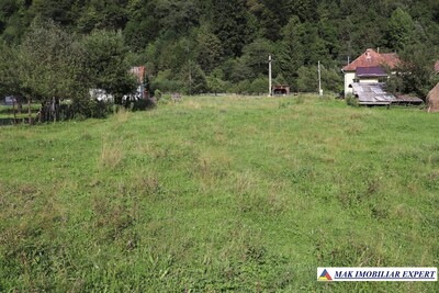 Teren Intravilan 2.428 mp de vanzare – Rucăr Sătic Argeș  - Imagine principală