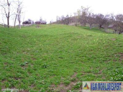 Teren intra -extravilan 2,5 ha în Ciocanu Dâmbovicioara Ag - Imagine principală