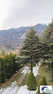 Inchiriere vila  patru camere -teren,foisor - Imagine principală